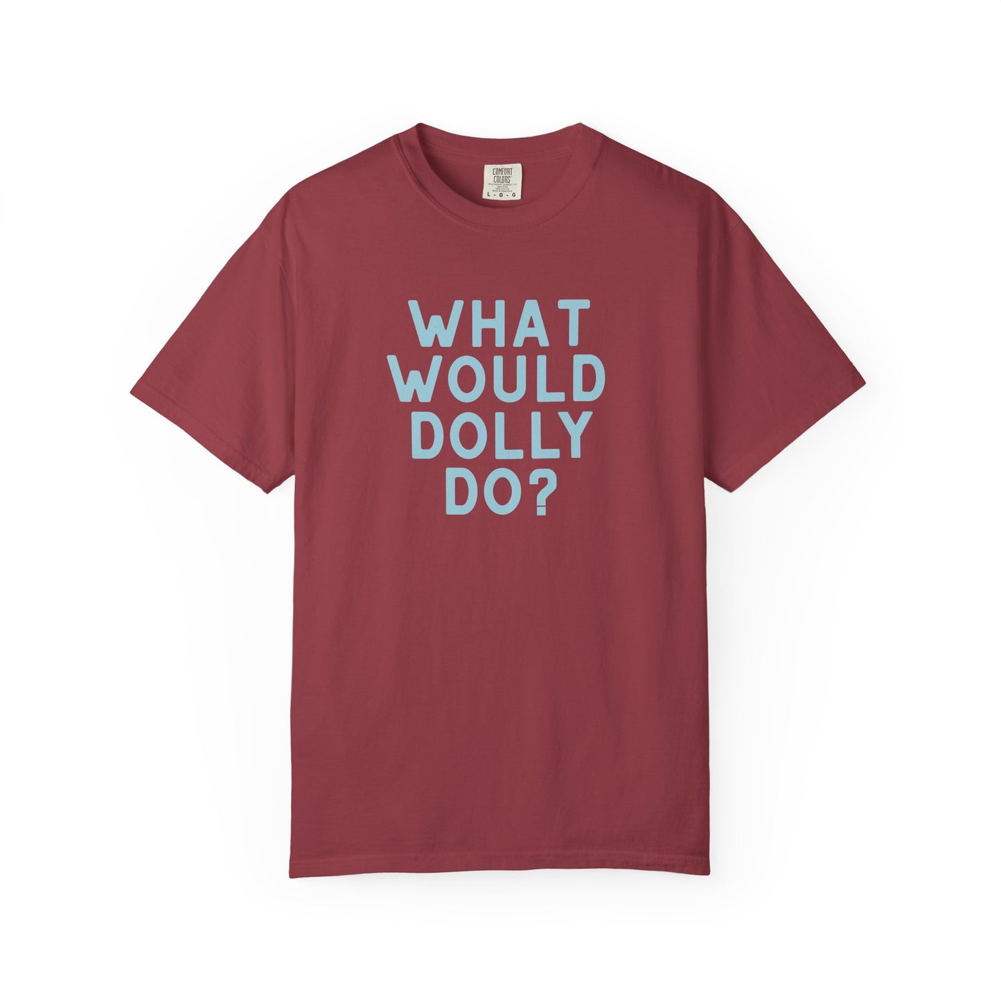 A dark coral short-sleeve crewneck t-shirt with the text 'WHAT WOULD DOLLY DO?' printed in a matching light blue font on the front, displayed against a clean white background.