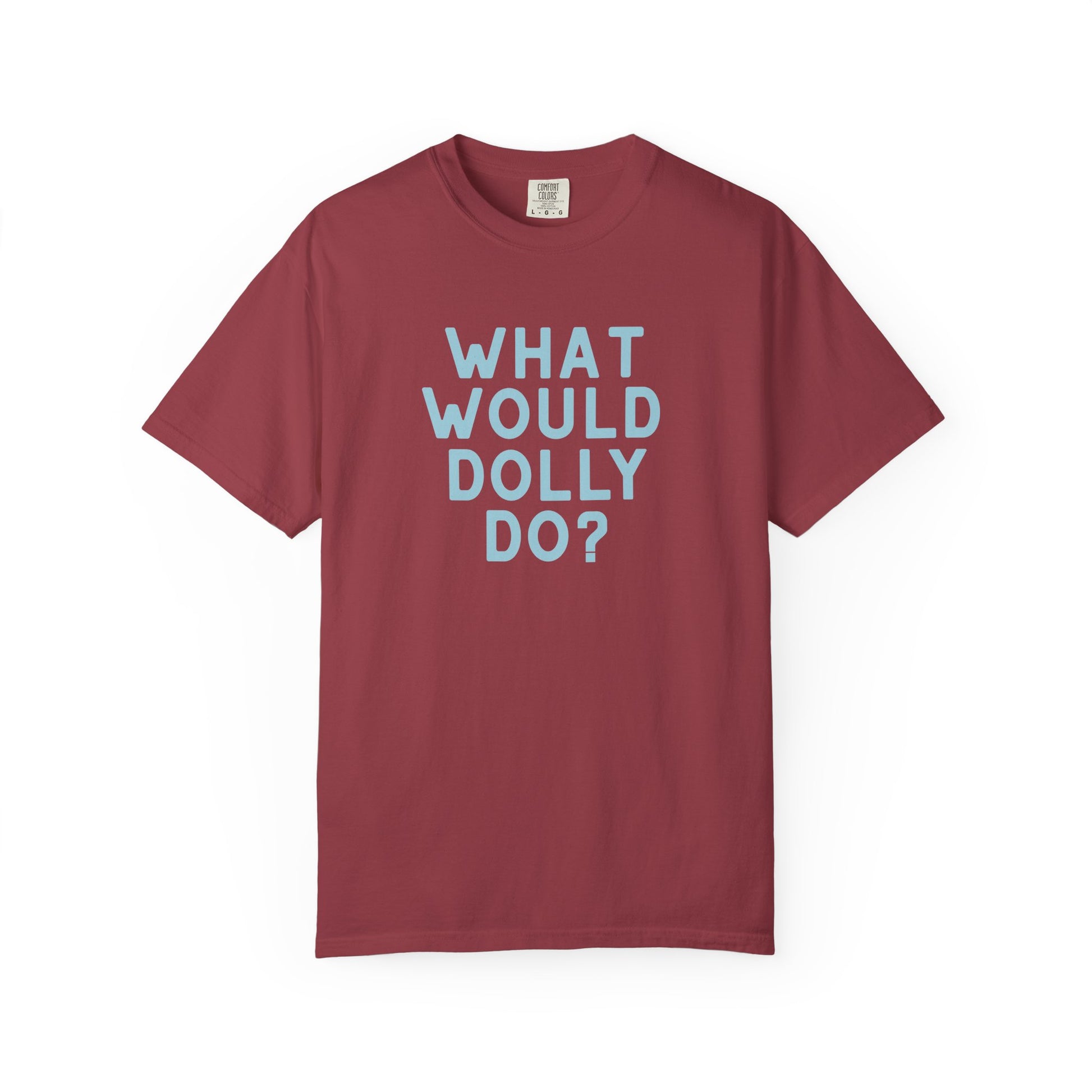 A dark coral short-sleeve crewneck t-shirt with the text 'WHAT WOULD DOLLY DO?' printed in a matching light blue font on the front, displayed against a clean white background.